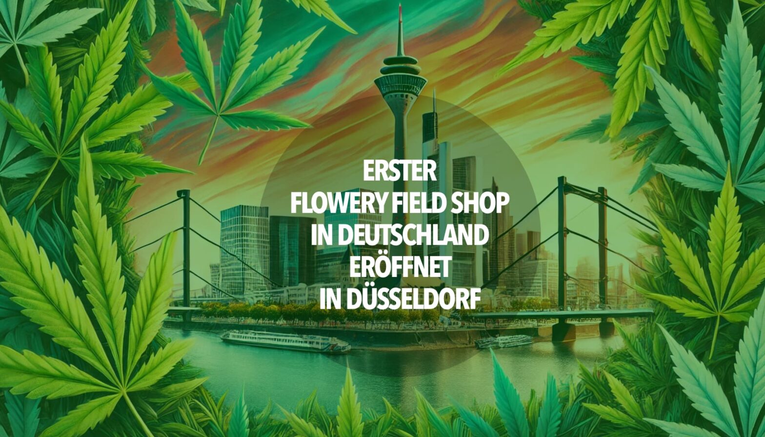 Erster Flowery Field Shop in Deutschland eröffnet in Düsseldorf